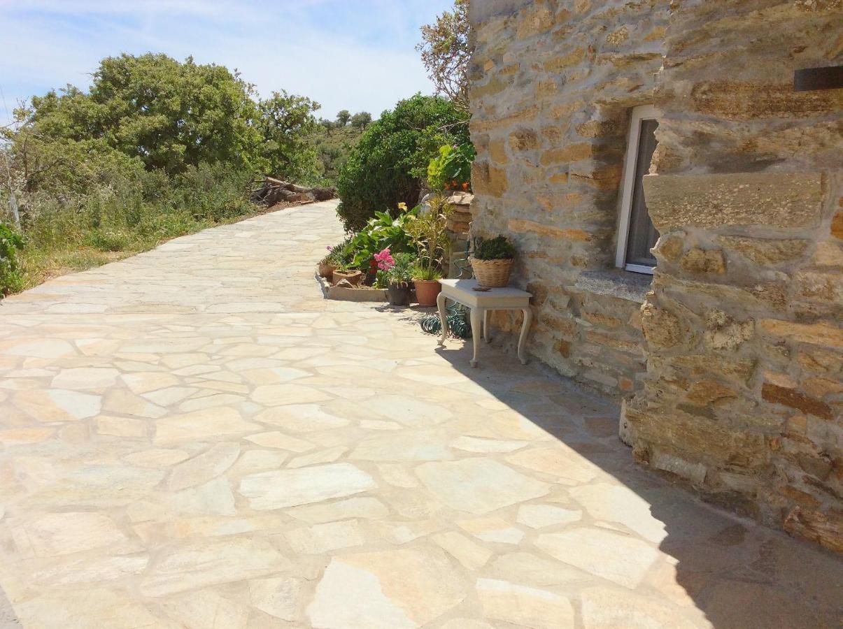 Gaia Vacation Home Agia Mavra 외부 사진